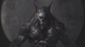 Честер Небро – Msr