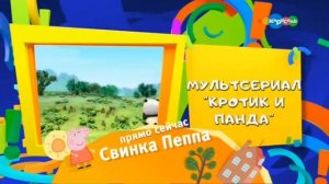 Карусель плашка свинка пеппа в 16:9