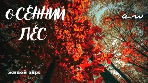 аНДРЕЙ жАБИН - Осенний лес (Альтернативная версия)