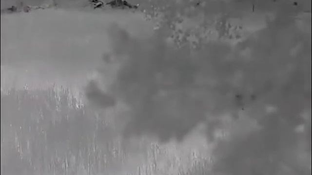 Pulsar Helion 2 XP50 PRO. Vildsvin på väg ut i vetefältet смотреть онлайн