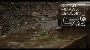 Зифа Кадыйрова   Синсез килгән язлар 6нчы өзек