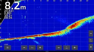 Крупный судак в паноптикс, смотреть до конца!!!