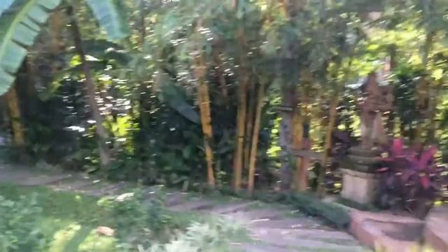 A walk Through The Yoga Barn - Bali, Ubud