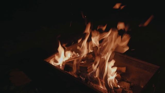 고요한 숲 속에서 조금 바쁜(?) 차박 | 자작캠핑카 | 반려견동반캠핑 | 포천유식물원캠핑장