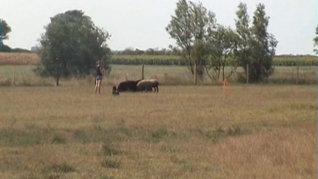 Vitamin herding