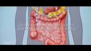 Бальзам Виталити люкс! Питает и восстанавливает клетки