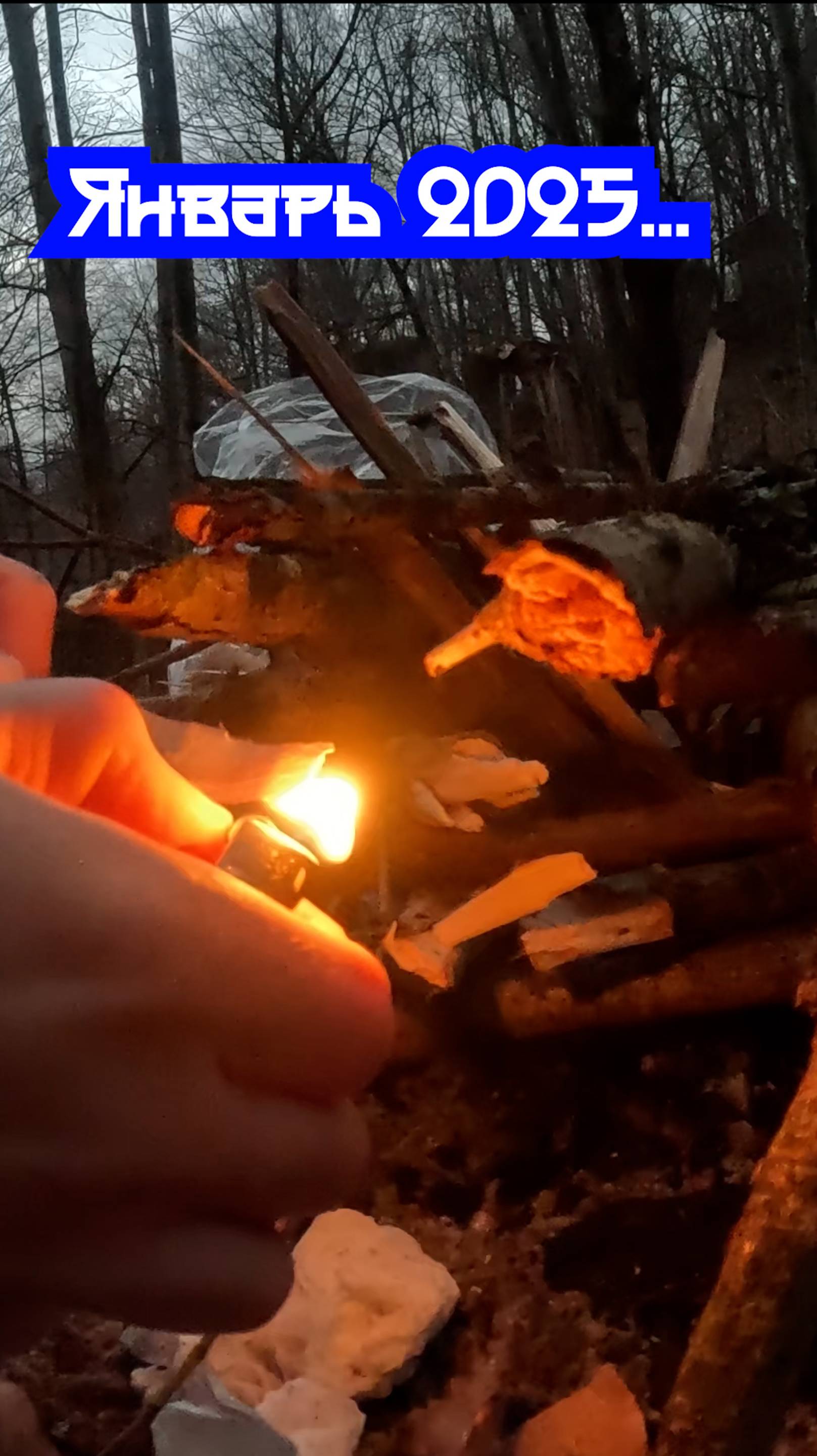  Ночевка в лесу природа campfire
