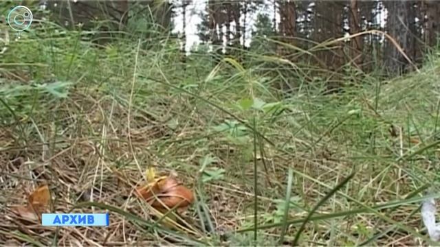 Громкие изменения в правилах "тихой охоты"