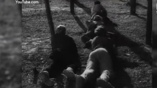 Толя Шумов смотреть онлайн