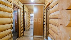 4428484 Зеленый бор