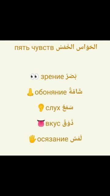 Пять чувств #арабский #arabic #العربية смотреть онлайн