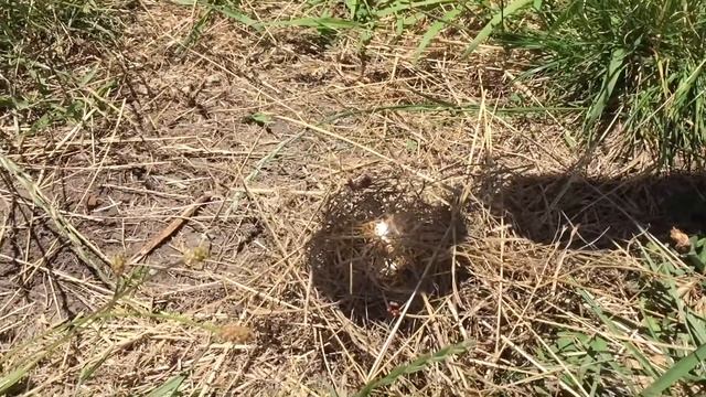 How to start fire using a magnifying glass смотреть онлайн