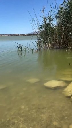 Клюй рыбка, большая и маленькая...