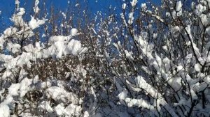 Склифосовский 9 сезон 1 серия (2022) Дата выхода