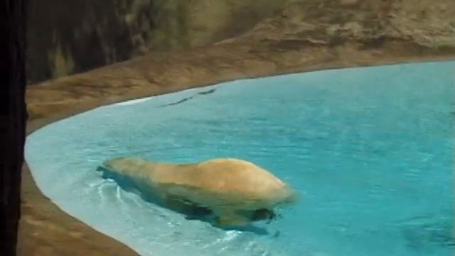 "Ваш ребенок может читать" методика Доктора Роберта Титзер Урок 4 смотреть онлайн