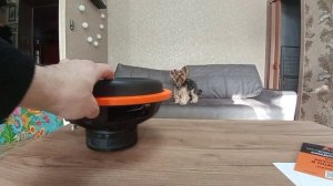 сабвуфер Gryphon Lite 12 V.3 от DL-AUDIO

аж волосы шевелятся🤪