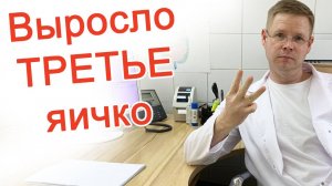 Выросло третье яичко