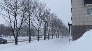 Сахалин, Южно-Сахалинск. 29.01.2025г. А снег все идет и идет.