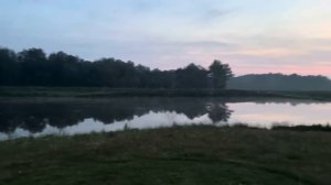 Заготовка сена в этом году не может не радовать | Сенокос 2024