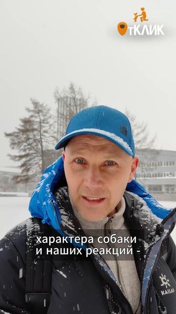 Добыча или награда?