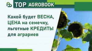 Какой будет весна, цена на семечку, льготные кредиты для аграриев | TOP Agrobook: обзор агроновостей