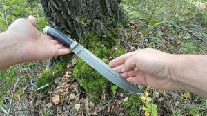 Нож Пластунский из дамасской стали