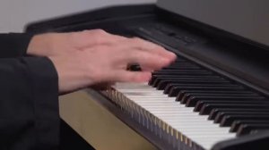 СНЕГ НАД ЛЕНИНГРАДОМ   М Таривердиев   Музыка из фильма «Ирония судьбы, или С легким паром!»