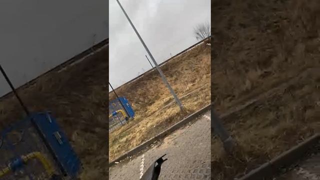 по просьбе