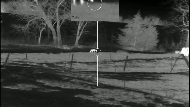 Pulsar Trail XP50 Coyote Hunt смотреть онлайн