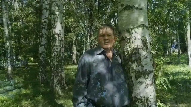 Михаил Башнин  Семь берез перевод с веб Скова Олега Мушникова читает Юрий Тихомиров