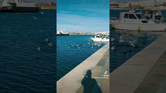 ВОТ ТАКОЙ ДЕКАБРЬ В СЕВАСТОПОЛЕ. смотреть онлайн