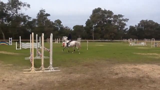 Charlotte & Irish Delight 90 cm OT winners смотреть онлайн