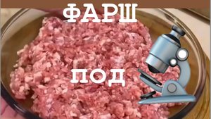 ФАРШ под МИКРОСКОПОМ