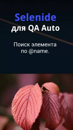 Selenide для QA Auto. Поиск элемента по @name.