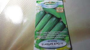 Огурец Клавдия Агро F1 от Агрохолдинга "Поиск"