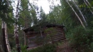 Без названия