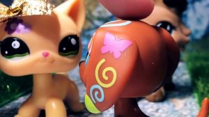 LPS сериал: мечта русалки 9 серия/Dream mermaid 9 episode