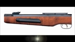 Gamo Hunter 440  y Gamo Maxima review