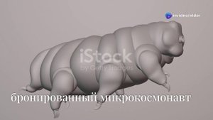 интересные факты о животных