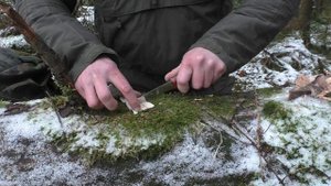 Victorinox Mini Tool FireAnt 🔥 (subtitles.🇬🇧)