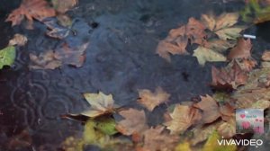 Пальчиковая игра-импровизация с музыкальным сопровождением.