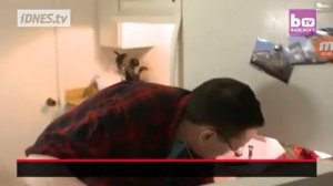 Nej tlustší žena Monica Riley