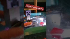 Новости 3д печати #nybraasplay #nybraas3d #3дпринтер #flashforge #3дпечать #3d #minecraft