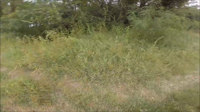 Коп Металлолома Противовес 230 килограмм! смотреть онлайн