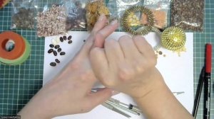 1.Знакомство с Су Джок