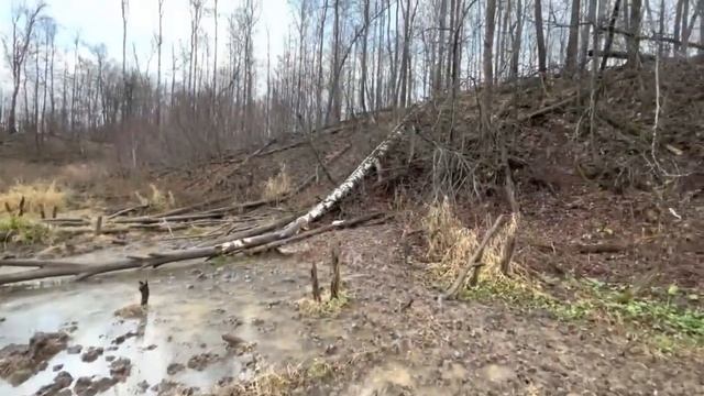 КФХ Идиятуллин. В ускоренном режиме готовимся к зиме /   Получилось съездить к нашему табуну лошадей