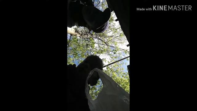 Мажор 1 сезон 1 серия