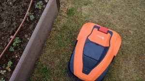 Робот газонокосилка Robokos RM 600i. Первая установка и обзор работы. #robokos #robomower #робот