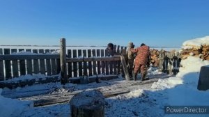 Аборигенка. У родителей складываем дрова. Один день из нашей жизни. Жизнь в глубинке. 18.01.25.