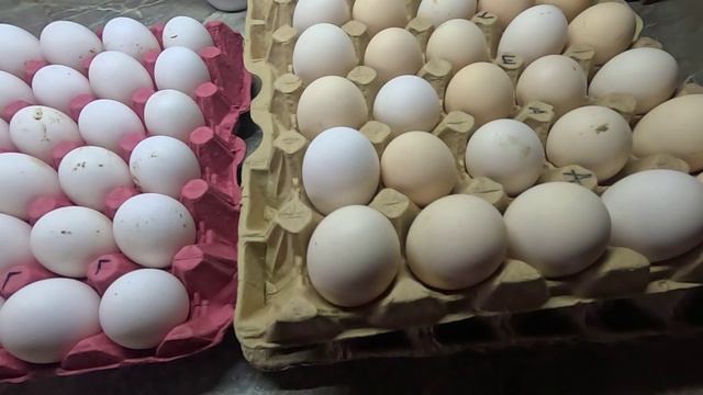 Весна пришла.. Ну и грязь.. Всё мало мне.. Я сама по себе..